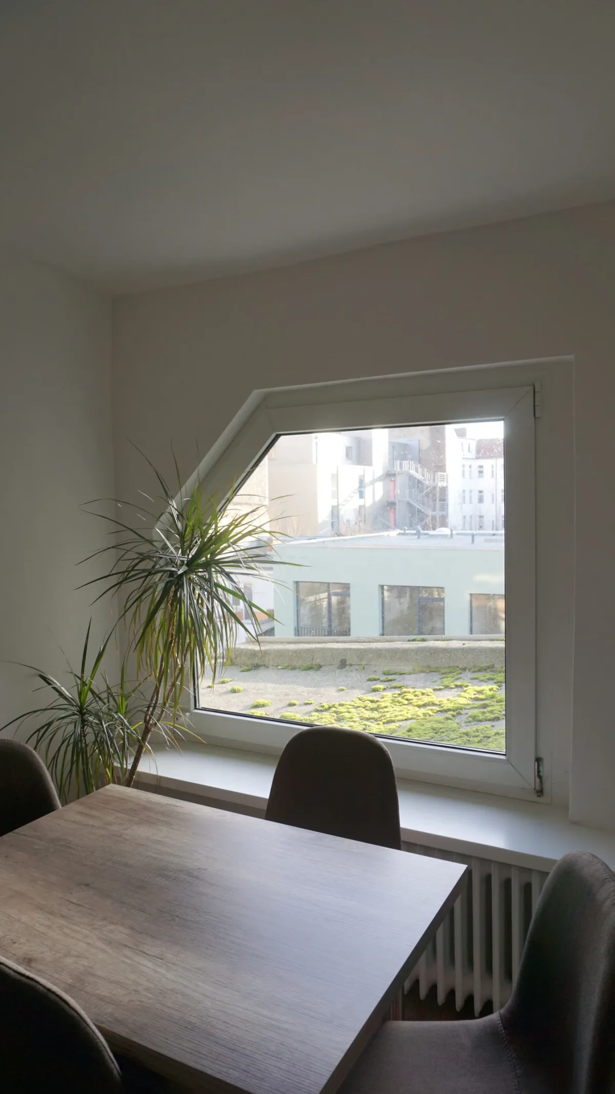 Helles 1-Zimmer-Apartment mit Wohnküche und Blick in den begrünten Innenhof · Bild 2