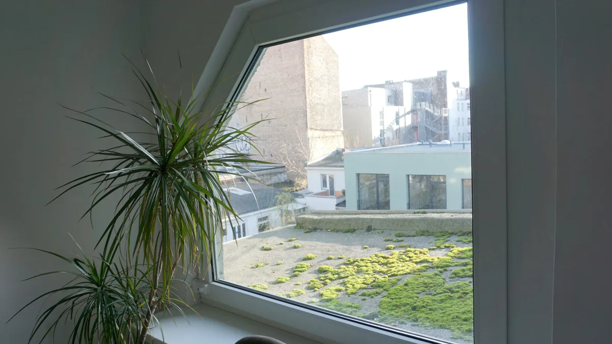 Helles 1-Zimmer-Apartment mit Wohnküche und Blick in den begrünten Innenhof · Bild 3